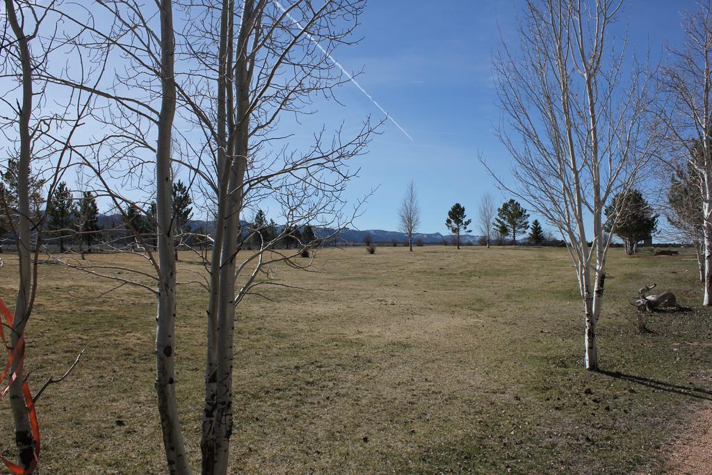 Sevier River Ranch & Cattle Company Hatch Zimmer foto